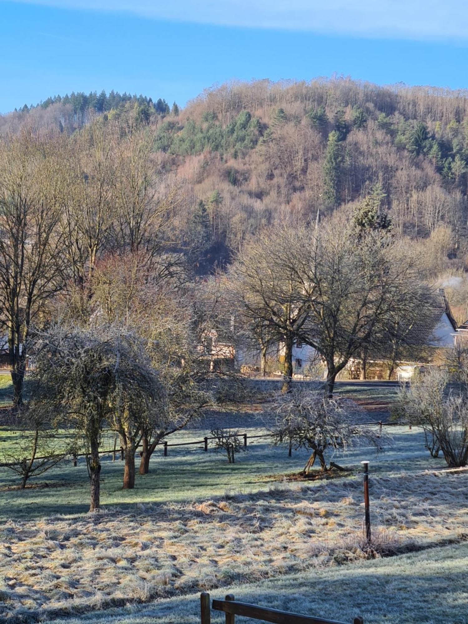 Ferienwohnung Burgblick Pelm ภายนอก รูปภาพ